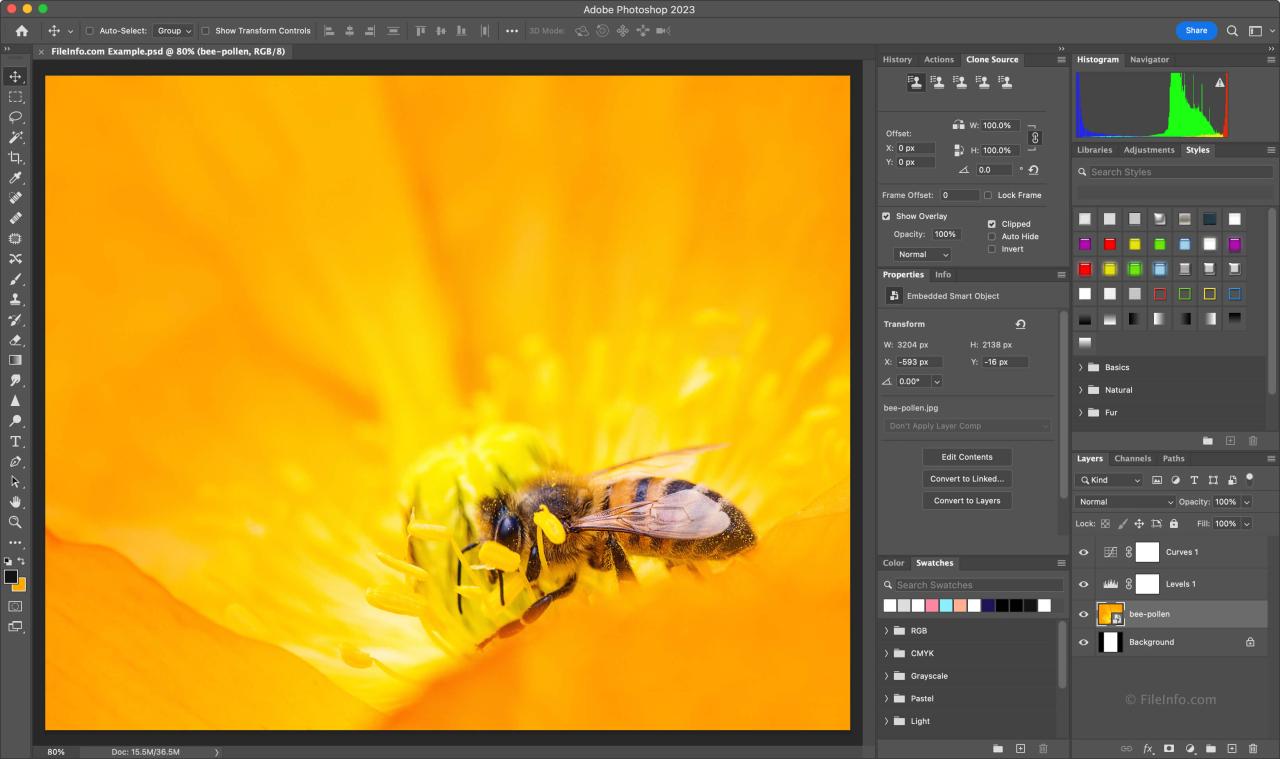 Photoshop 2025: New Features and What You Need to Know