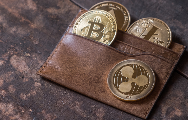 Crypto Wallets Explained: Hot Wallets vs Cold Wallets