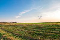 How Technology is Improving Sustainability in Agriculture How Technology is Improving Sustainability in Agriculture