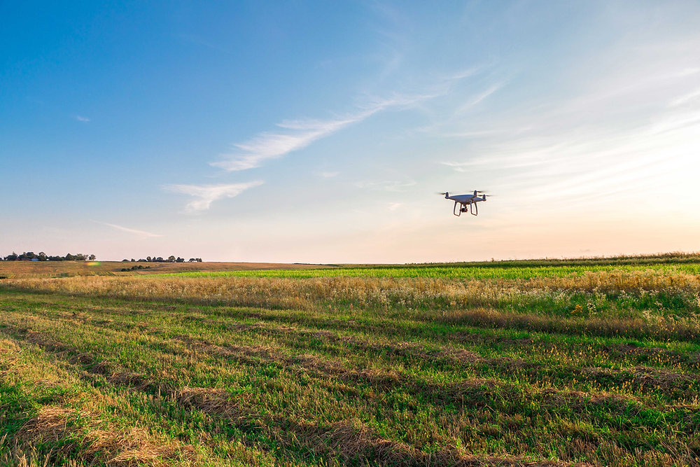 2020 technologies agriculture sustainability fbk june How Technology is Improving Sustainability in Agriculture