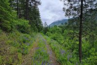 What to Know About Buying Land Essential Insights What to Know About Buying Land Essential Insights