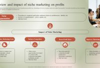 Targeting Niche Markets in Online Health Shopping Targeting Niche Markets in Online Health Shopping